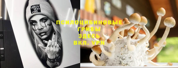 spice Алексин
