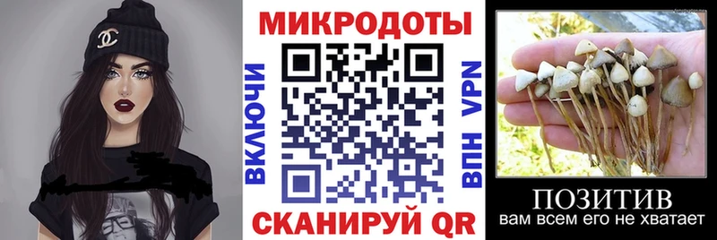 сколько стоит  Искитим  ссылка на мегу маркетплейс  Псилоцибиновые грибы Cubensis 