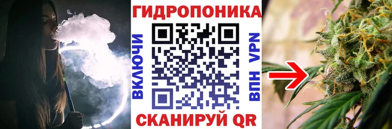 Шишки марихуана Amnesia Искитим